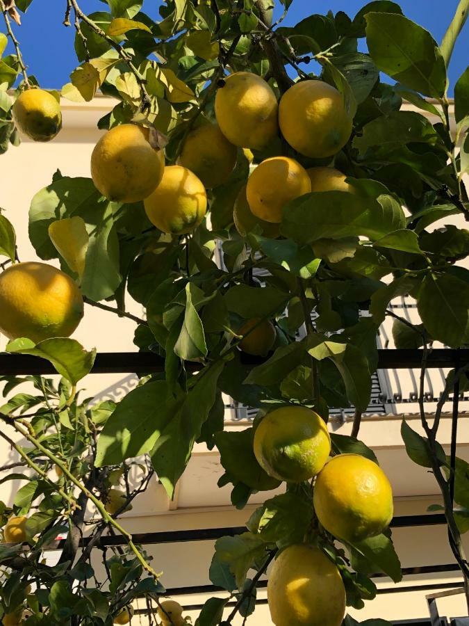 Bed and Breakfast Il Giardino Di Nonno Agostino Castellammare di Stabia Exteriér fotografie