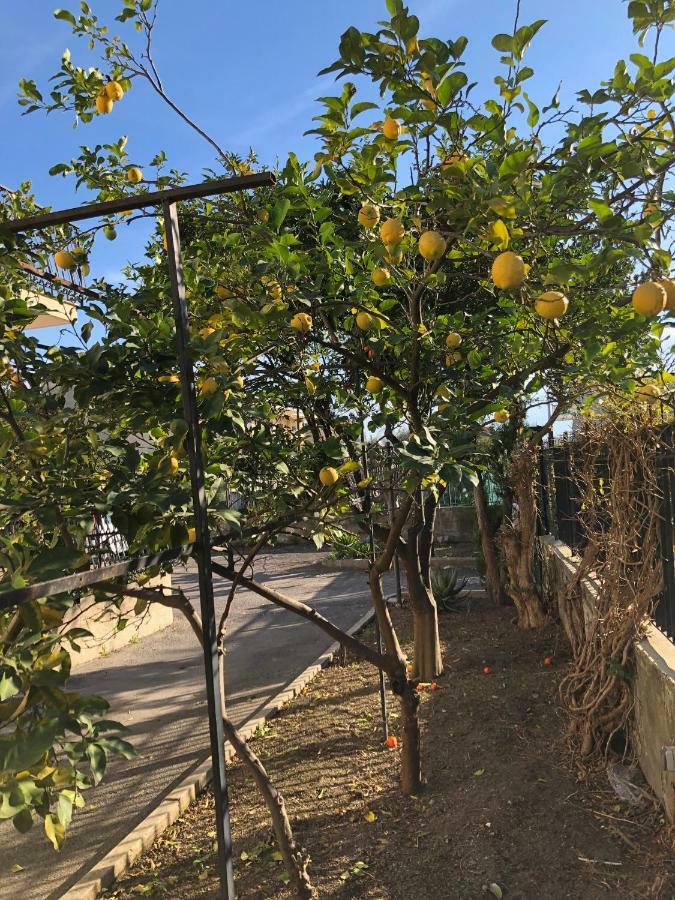 Bed and Breakfast Il Giardino Di Nonno Agostino Castellammare di Stabia Exteriér fotografie